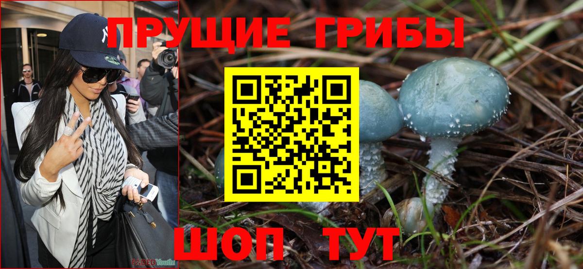 Галлюциногенные грибы Psilocybine cubensis  Вход с VPN  Галлюциногенные грибы мухоморы  Норильск 